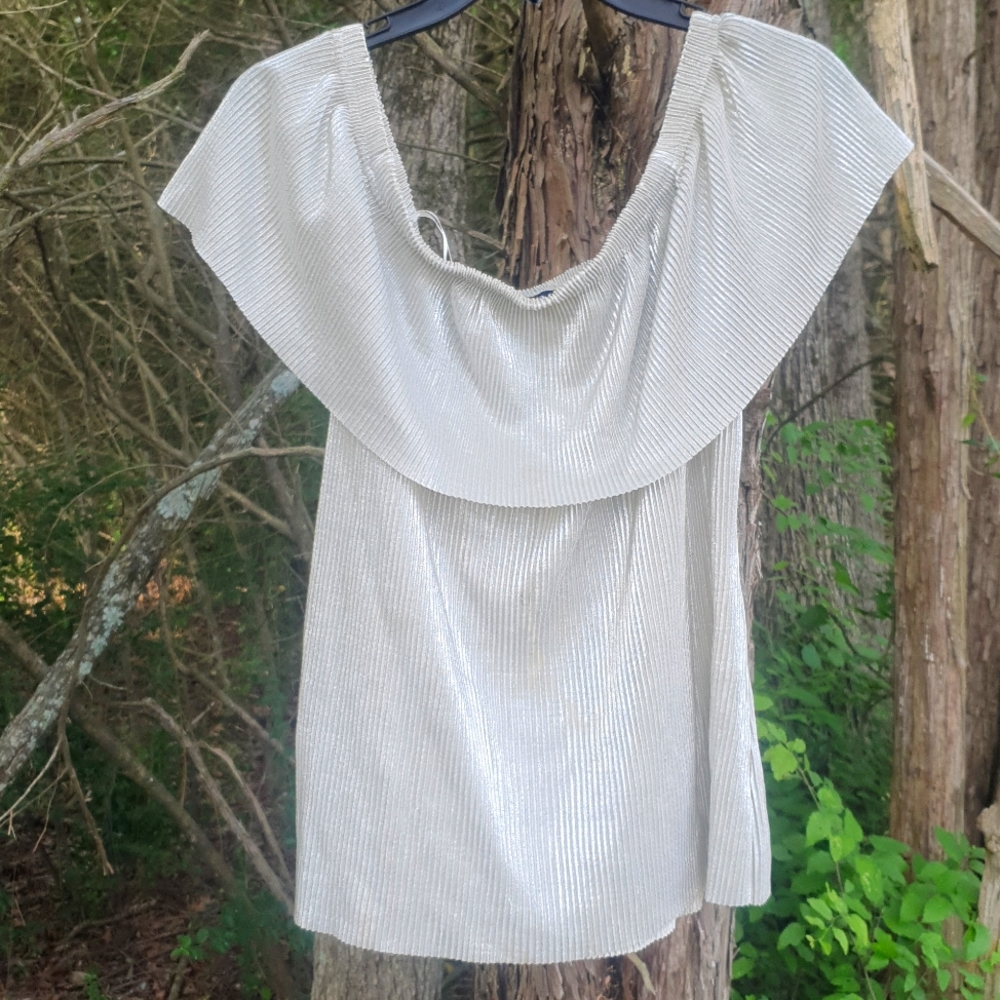 Super Cute Gold Shimmer Blouse Top - Off the Shoulder